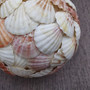 Natural Pecten Scallop Mixed Seashell Ball Round Sphere (approx. 6+ inches) Assorted Pecten Scallop Shell Ball for home accent & display!