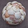 Natural Pecten Scallop Mixed Seashell Ball Round Sphere (approx. 6+ inches) Assorted Pecten Scallop Shell Ball for home accent & display!