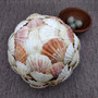 Natural Pecten Scallop Mixed Seashell Ball Round Sphere (approx. 6+ inches) Assorted Pecten Scallop Shell Ball for home accent & display! Copyright 2026 SeaShellSupply.com.