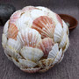 Natural Pecten Scallop Mixed Seashell Ball Round Sphere (approx. 6+ inches) Assorted Pecten Scallop Shell Ball for home accent & display! Copyright 2026 SeaShellSupply.com.