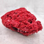 Medium Red Pipe Organ Coral Cluster (1 coral approx. 7L x 5D x 3H inches) Tubipora Musica Red Coral Chunk for home display & decoration!