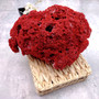 Medium Red Pipe Organ Coral Cluster (1 coral approx. 7L x 5D x 3H inches) Tubipora Musica Red Coral Chunk for home display & decoration!
