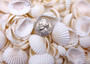 White Ark Clam Seashells - Andara Granosa - (approx. 35-40 shells 0.5-1 inches). Multiple white ribbed wide shells. Copyright 2025 SeaShellSupply.com.