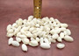 White Bubble Seashells Haminoea Zelandiae (approx. 1 cup 85+ shells 0.5+ inch) White Bubble Shells for coastal jewelry crafts & display! Copyright 2025 SeaShellSupply.com.