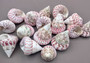 Strawberry Trochus Seashells - Techtus Conus - (4 shells approx. 1.5-2.5 inches). Four spiral pink and purple shells laid out to show the different angles. Copyright 2024 SeaShellSupply.com.