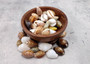 Cowrie Seashells Assorted Mix (Approx. half cup +/-10 shells 0.75+ inches) Colorful Cowrie Variety Shells for coastal crafting & decor!