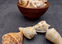 Margined Conch Seashells - Strombus Marginatus - (10 shells). A small pile of white spiral shells with brown accents. Copyright 2022 SeaShellSupply.com.