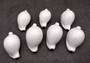 Egg Cowrie Seashell (2 Inches) - Ovula Ovum. White shiny shell. Copyright 2024 SeaShellSupply.com