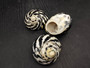 Polished West Indian Top/Magpie Seashell (appx. 2 inches) - Cittarium Pica. One black and white spotted spiral shell. Copyright 2025 SeaShellSupply.com.
