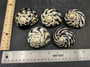 Polished West Indian Top/Magpie Seashell (appx. 2 inches) - Cittarium Pica. One black and white spotted spiral shell. Copyright 2025 SeaShellSupply.com.