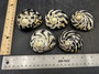 West Indian Top Polished Seashell Black Cittarium Pica (1 shell approx. 2.5+ inches) AKA Magpie Striped Shell for display arts & crafts!