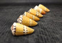 Captain Cone Seashells (2 pcs.) - (2-2.5 inches) - Conus Capitaneus. Cream to earthly colored shells with patterns along the spiral. Copyright 2024 SeaShellSupply.com.