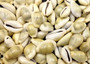 Money Cowrie Seashells - Cypraea Moneta - (approx. 35-40 shells 0.5-1 inches) (TE-021). Multiple different color pastel shells in a pile. Copyright 2025 SeaShellSupply.com.