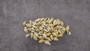 Money Cowrie Seashells - Cypraea Moneta - (approx. 35-40 shells 0.5-1 inches) (TE-021). Multiple different color pastel shells in a pile. Copyright 2025 SeaShellSupply.com.