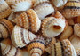 Coronate Prickly Winkle Seashells -Tectarius Coronatus - (6 shells approx. .5-.75 inches). Multiple sand colored ribbed shells in a pile. Copyright 2022 SeaShellSupply.com.