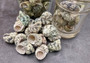 Jade Green Turbo Seashells - Turbo Brunneus - (10 shells approx. 1-2 inches). Pile of multiple shaded spiral turquoise shells. Copyright 2022 SeaShellSupply.com.