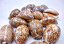 Arabic Cowrie Seashells - Cypraea Arabica - (5 shells approx. 1.5-2 inches). Copyright 2024 SeaShellSupply.com.