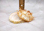 Orange White Spiny Oyster Seashell Pair Spondylus Barbatus (1 shell pair approx. 2.25+ inches) B GRADE Great shells for décor & collections! Copyright 2025 SeaShellSupply.com.