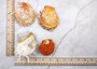 Orange White Spiny Oyster Seashell Pair Spondylus Barbatus (1 shell pair approx. 2.25+ inches) B GRADE Great shells for décor & collections! Copyright 2025 SeaShellSupply.com.