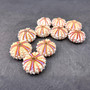 Deep Water Philippine Sea Urchin Seashell (1 urchin approx. 0.5+ inch) Colorful Coelopleurus Mailardii Shell for display & collecting!