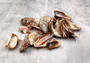 Turkey Wing Seashells (20 pcs.) - Arca Zebra. Multiple white and tan stripped shells with a wide opening. Copyright 2024 SeaShellSupply.com.