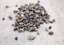 Black Dove Seashells Columbella Mercatoris Linne (approx. half cup 140+ shells 0.25+ inches) Spotted Dove shells for coastal arts & crafts! Copyright 2025 SeaShellSupply.com.