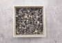 Black Dove Shells - Columbella Mercatoris Linne - (approx. 140-150 shells). Multiple black and white spotted shells in a pile. Copyright 2024 SeaShellSupply.com.