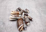 Olive Seashell Dark Assortment Agaronia Gibbosa (Approx. half cup 20+ shells 1-1.75+ inches) Spiral brown Olive shells for arts & crafts!  Copyright 2025 SeaShellSupply.com.