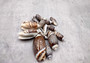 Olive Seashell Dark Assortment Agaronia Gibbosa (Approx. half cup +/-20 shells 1-1.75+ inches) Spiral Brown Olive Shells for arts & crafts!