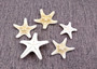 Creme Knobby Starfish - Protoreaster Nodosus - (5 starfish approx. 1-2 inches). Multiple tan starfish in a pile. Copyright 2025 SeaShellSupply.com.