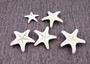 Creme Knobby Starfish - Protoreaster Nodosus - (5 starfish approx. 1-2 inches). Multiple tan starfish in a pile. Copyright 2025 SeaShellSupply.com.