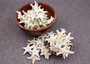 Creme Knobby Starfish - Protoreaster Nodosus - (5 starfish approx. 1-2 inches). Multiple tan starfish in a pile. Copyright 2025 SeaShellSupply.com.