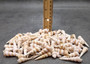 Purple Turitella Seashells - Turitella Communis - (approx. 25-30 shells 1-2 inches). Multiple stripped cone shaped shells in a pile. Copyright 2025 SeaShellSupply.com.