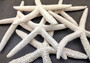 White Finger Starfish (2 pcs.) - (6-7 inches) - Linka Laevigata. Long fingered and textured Starfish. Copyright 2022 SeaShellSupply.com.