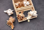 Ramose Murex Seashell Chicoreus Ramosus (1 shell approx. 2.5+ inches) Swell shells for coastal crafting décor & collections!