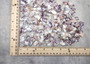 Blue/White Coquina Shells - Donax Variabilis - (approx. 200-250 shells .5 inches). Multiple tan colored flat shells in a pile. Copyright 2025 SeaShellSupply.com.