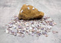 Blue/White Coquina Shells - Donax Variabilis - (approx. 200-250 shells .5 inches). Multiple tan colored flat shells in a pile. Copyright 2025 SeaShellSupply.com.