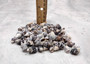 Littorina Black Seashells Littorina Saxatilis (Approx. half cup 100+ shells 0.5+ inches) Copyright 2025 SeaShellSupply.com.