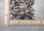 Littorina Black Seashells Littorina Saxatilis (Approx. half cup 100+ shells 0.5+ inches) Copyright 2025 SeaShellSupply.com.