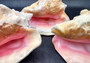 Queen/Pink Conch - Slit Back - Strobus Gigas - (1 shell approx. 8 inches). One pink and white shell. Copyright 2024 SeaShellSupply.com.