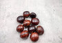 Brown Hamburger (True) Sea Beans - Mucuna Sloanei - (10 shells approx. 1 inch). Multiple red and black shaded bright shells. Copyright 2024 SeaShellSupply.com.