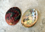 Chino Abalone Shell (2 inches) - Haliotis Assimilis. Two shells, one showing the red and green ribbed outside, and the other showing the smoother shiny wide opening. Copyright 2022 SeaShellSupply.com.