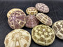 Alfonso (Gator) Sea Urchin (3 pcs.) - (2+ Inch) - Toxopneustes Pileolus. White and purple Sea Urchin. Copyright 2022 SeaShellSupply.com.