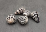 Large Hebrew Cone Seashells Conus Ebraeus White Black Spots (5 shells approx. 1.25+ inches) Great in jewelry clothing arts & crafting!