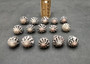 Polished Hebrew Cone Seashells - Conus Ebraeus - (5 shells approx. 1-1.5 inches). Multiple spotted coned shells. Copyright 2025 SeaShellSupply.com.