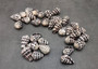 Polished Hebrew Cone Seashells - Conus Ebraeus - (5 shells approx. 1-1.5 inches). Multiple spotted coned shells. Copyright 2025 SeaShellSupply.com.