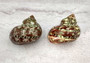 Tapestry Green Speckled Turbo Seashell - Turbo Petholatus (2 shells approx. 2+ inches) Great for Hermit Crabs, art, crafts & collecting! Multi colored tan and brown shells in pairs or in piles. Copyright 2022 SeaShellSupply.com