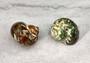Tapestry Green Speckled Turbo Seashell - Turbo Petholatus (2 shells approx. 2+ inches) Great for Hermit Crabs, art, crafts & collecting! Multi colored tan and brown shells in pairs or in piles. Copyright 2022 SeaShellSupply.com
