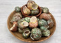 Tapestry Green Speckled Turbo Seashell - Turbo Petholatus (2 shells approx. 2+ inches) Great for Hermit Crabs, art, crafts & collecting! Multi colored tan and brown shells in pairs or in piles. Copyright 2022 SeaShellSupply.com
