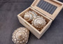 Pearlized Wavy Turban Shell - Astraea Turbanicum - (1 shell approx. 3.5-4 inches). Silver ribbed and spiral shell. Copyright 2024 SeaShellSupply.com.